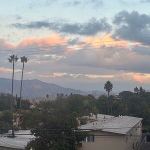 Meet your Posher, Terrell